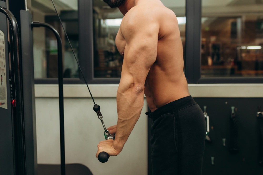 ako funguje triceps