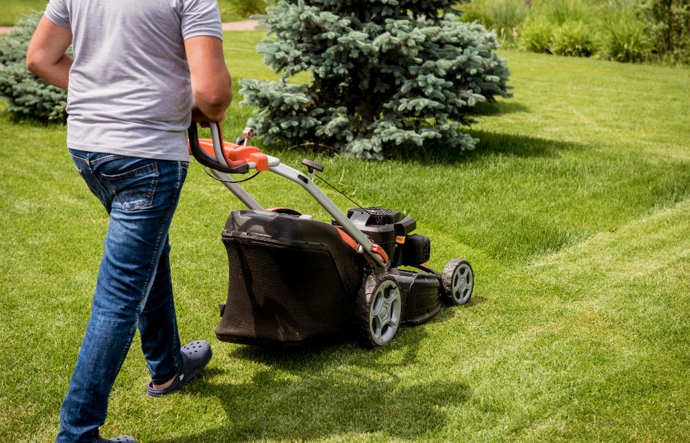 prvé kosenie na jar